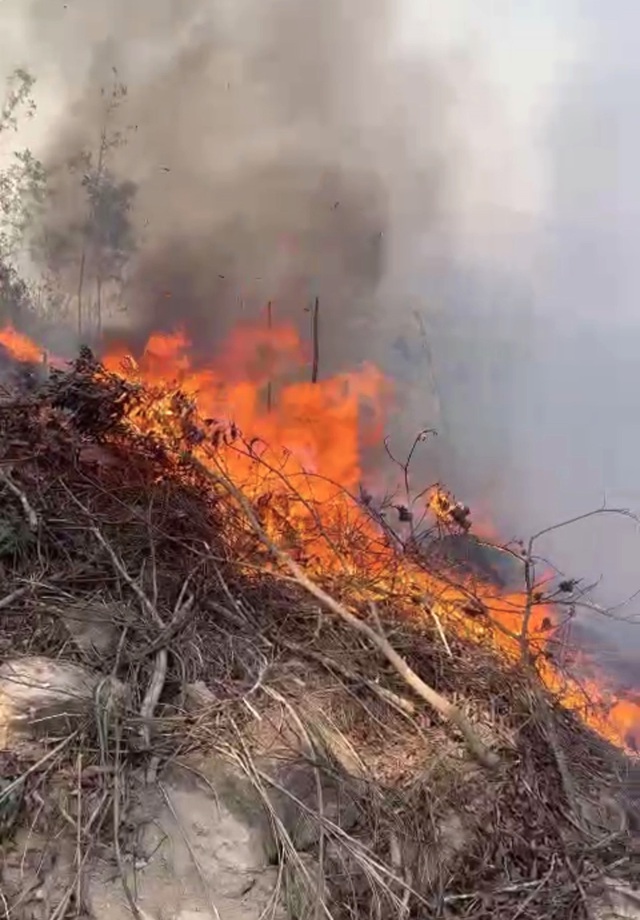 Cháy rừng xảy ra liên tiếp ở Quảng Trị - Ảnh 1.