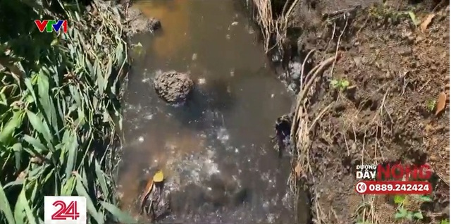 Đồng Nai: Các trang trại chăn nuôi xả thải ra sông suối gây ô nhiễm nguồn nước - Ảnh 2.