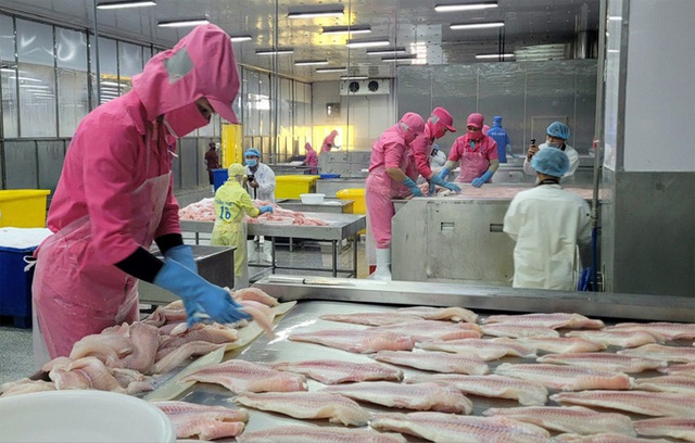Brazil dừng nhập khẩu cá rô phi Việt Nam - Ảnh 1.