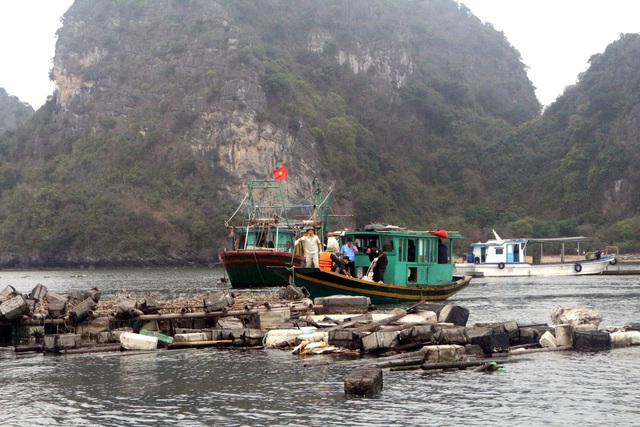 Xử lý dứt điểm các cơ sở nuôi thủy sản trái phép trên Vịnh Hạ Long - Ảnh 1.