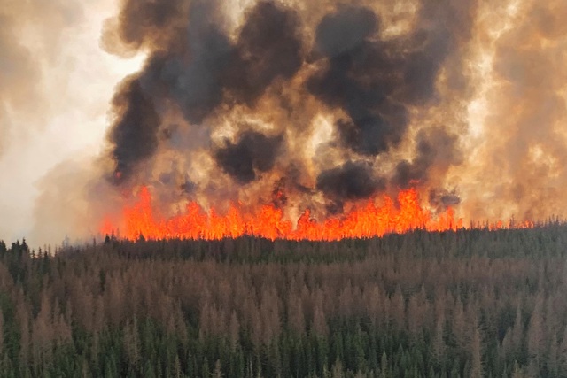 Tỉnh Alberta (Canada) ban bố tình trạng khẩn cấp vì cháy rừng - Ảnh 1.