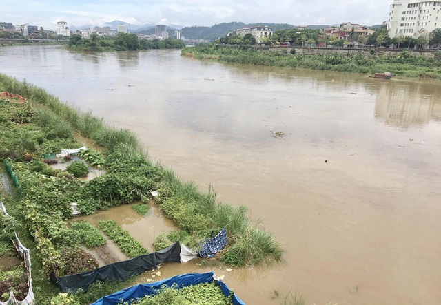 Sông Hồng xuất hiện lũ cao nhất từ đầu mùa - Ảnh 1.