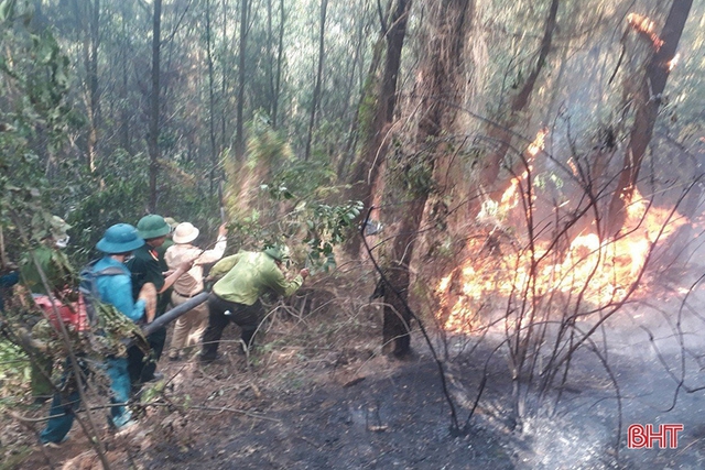 Hàng trăm người tham gia chữa cháy rừng ở Hà Tĩnh - Ảnh 1.