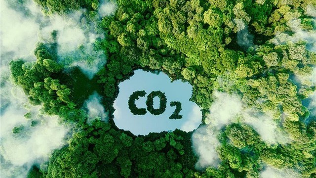 Đẩy nhanh phát triển thị trường carbon, ngăn GDP bị “thổi bay” hàng tỷ USD - Ảnh 1.