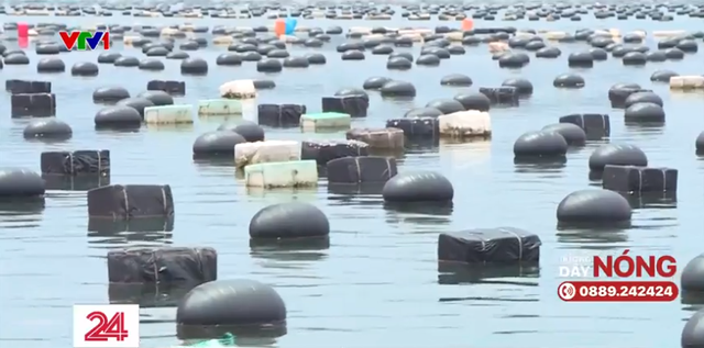 Xóa phao xốp trong nuôi thủy sản ở vịnh Hạ Long: Còn nhiều vướng mắc - Ảnh 6.