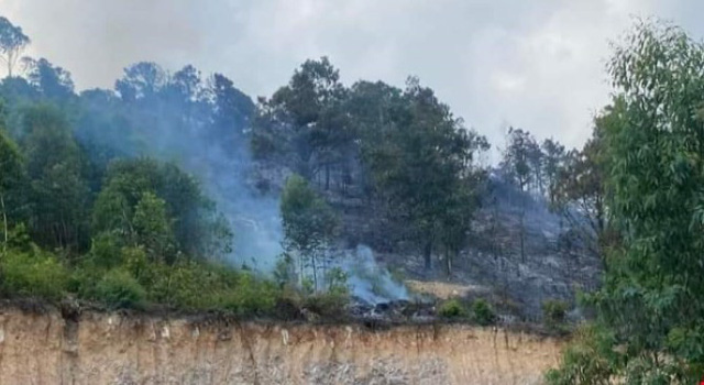 Quảng Ninh: Cháy rừng khiến 2 người tử vong - Ảnh 1.