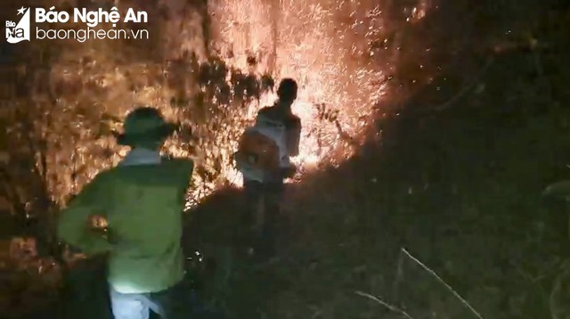 Trắng đêm dập lửa, chữa cháy rừng ở Nghệ An - Ảnh 1.