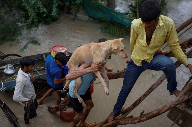 New Delhi sơ tán hàng trăm người vì nguy cơ lũ lụt sau mưa lớn kỷ lục - Ảnh 4.