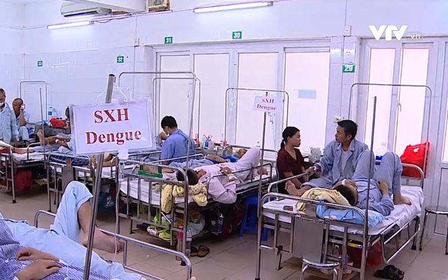 Số ca sốt xuất huyết ở Hà Nội, TP Hồ Chí Minh tăng, nguy cơ quá tải - Ảnh 1.