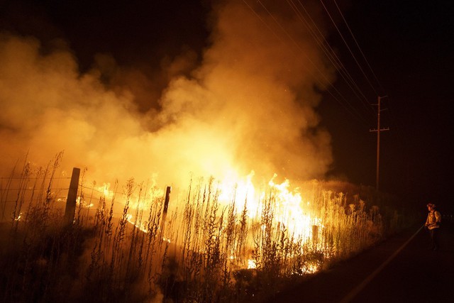 Cháy rừng ở đảo La Palma của Tây Ban Nha khiến hàng nghìn người phải sơ tán - Ảnh 1.