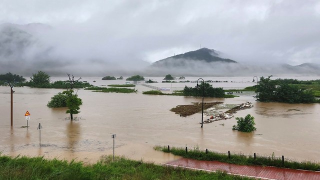 Ít nhất 35 người thiệt mạng sau trận mưa xối xả gây lũ lụt và lở đất ở Hàn Quốc - Ảnh 6.
