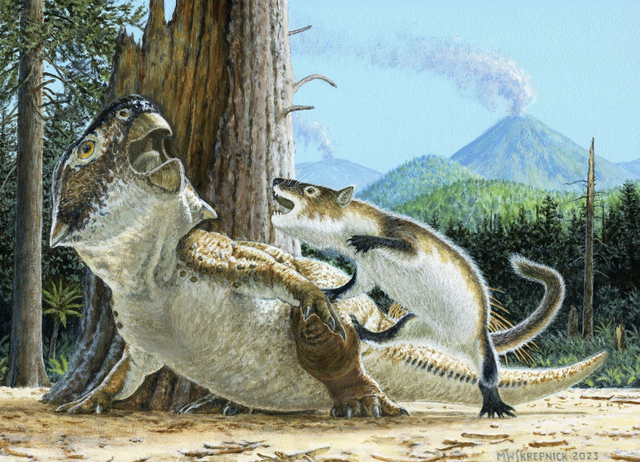 Phát hiện hóa thạch của loài động vật tiền sử tấn công cả khủng long - Ảnh 1.