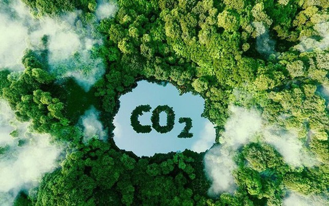 Thương mại tín chỉ carbon rừng - Ảnh 2.