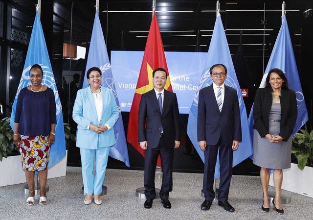 Việt Nam sẽ tích cực tham gia và triển khai các dự án do IAEA khởi xướng - Ảnh 3.