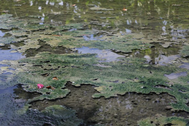 Nam Định: Sông, kênh mương đặc quánh, bốc mùi tại làng nghề tái chế nhôm - Ảnh 3.