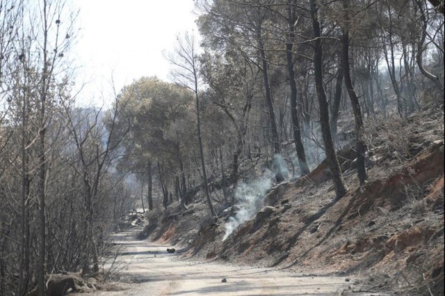 Nắng nóng cực độ, Tây Ban Nha chủ động phòng chống cháy rừng từ xa - Ảnh 1.