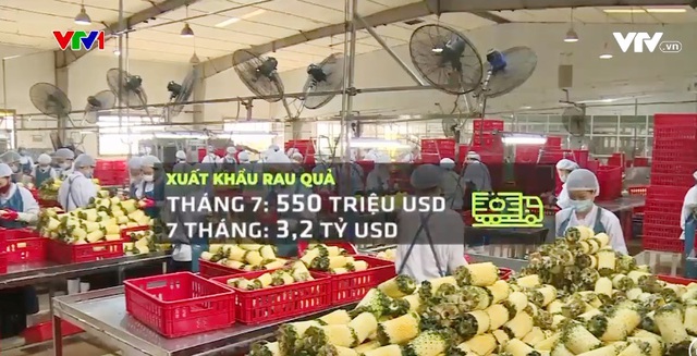 Sẽ tạm dừng những mã số vùng trồng vi phạm quy định của nước nhập khẩu - Ảnh 1.