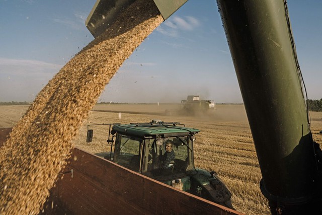 Chấm dứt thỏa thuận ngũ cốc Biển Đen có thể khiến giá lương thực thế giới tăng 15% - Ảnh 1.