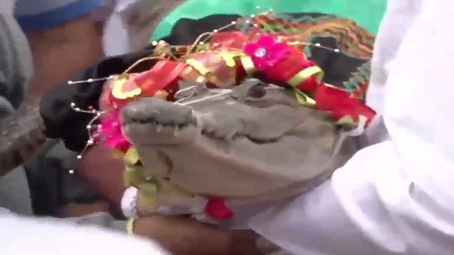 Thị trưởng ở Mexico kết hôn với cá sấu - Ảnh 1.