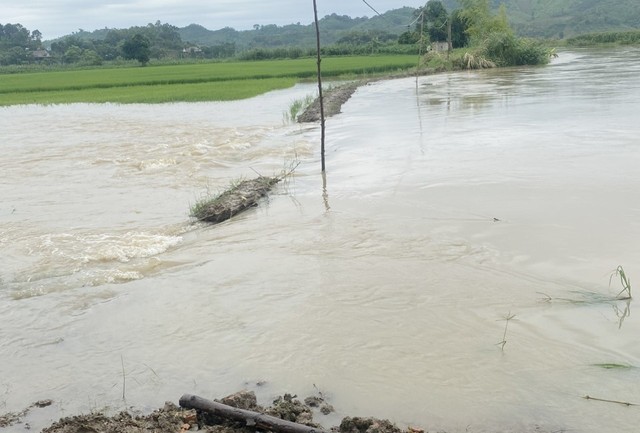 Mưa lớn gây thiệt hại ở Tây Nguyên, Nam Bộ - Ảnh 3.