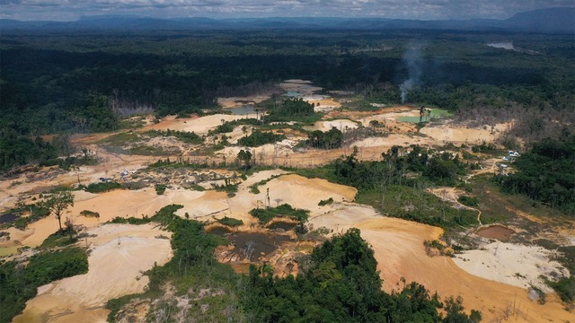 Nạn phá rừng Amazon ở Brazil giảm 34% trong nửa đầu năm 2023 - Ảnh 1.