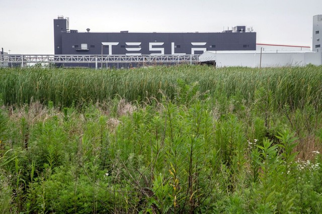 Tesla sa thải công nhân tại nhà máy Trung Quốc - Ảnh 1.