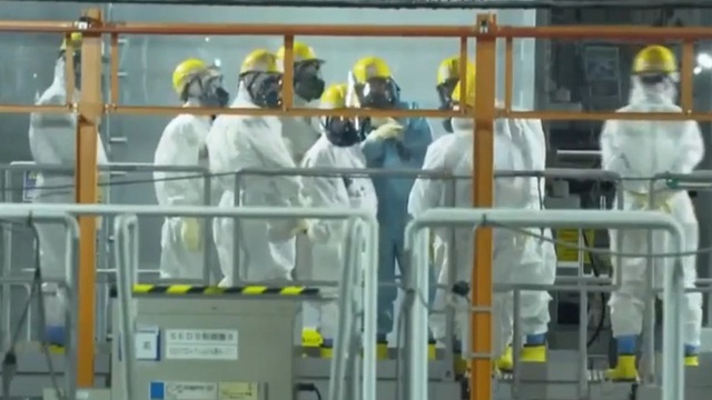 Hàn Quốc kiểm chứng về xả thải từ Fukushima - Ảnh 1.