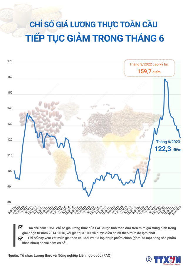 [INFOGRAPHIC] Chỉ số giá lương thực toàn cầu tiếp tục giảm trong tháng 6 - Ảnh 1.