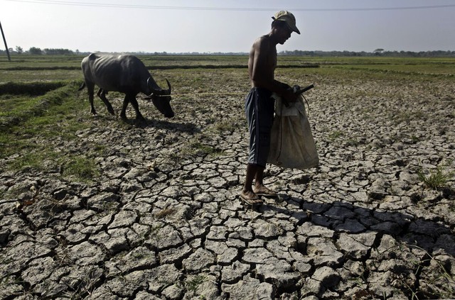El Nino đe dọa ngành nông nghiệp ASEAN - Ảnh 1.