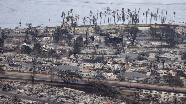 Số người thiệt mạng do cháy rừng ở Hawaii tăng lên 55 và dự kiến sẽ cao hơn - Ảnh 7.