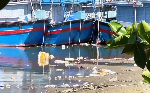 Bể rác khổng lồ ở biển Sa Huỳnh - Ảnh 6.