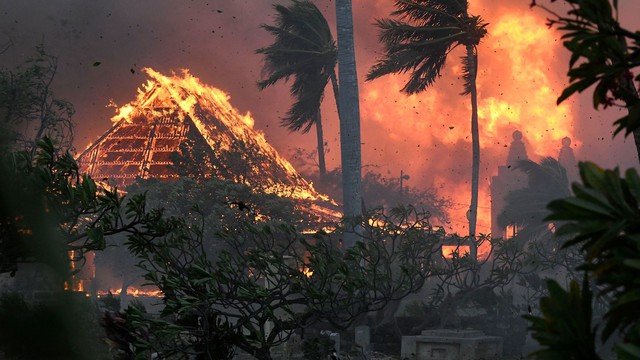 Việc tìm kiếm nạn nhân cháy rừng ở Hawaii hoàn thành 25%, số người tử vong tăng lên 99 - Ảnh 1.
