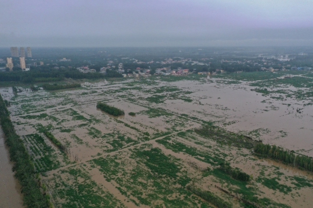 Giá gạo toàn cầu có thể tăng cao vì lũ lụt ở Trung Quốc - Ảnh 1.