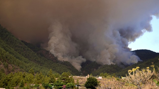 Hàng nghìn người sơ tán do cháy rừng trên đảo Tenerife của Tây Ban Nha - Ảnh 1.