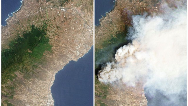 Hàng nghìn người sơ tán do cháy rừng trên đảo Tenerife của Tây Ban Nha - Ảnh 2.