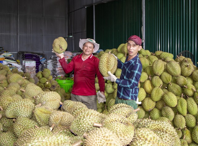 Việt Nam có thể đạt 10 tỷ USD kim ngạch xuất khẩu rau quả - Ảnh 1.