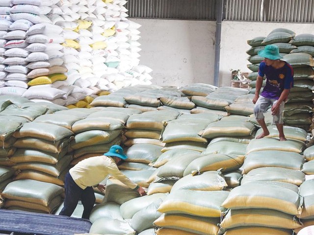Giá gạo xuất khẩu khó đoán định - Ảnh 1.