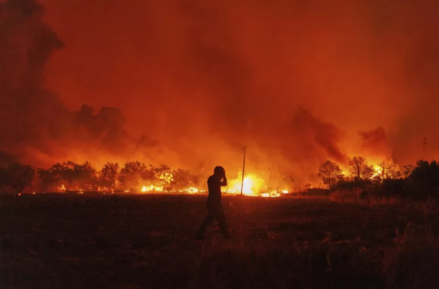 Hy Lạp phát hiện 18 thi thể nạn nhân tử vong do cháy rừng - Ảnh 1.