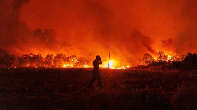 Hy Lạp huy động hơn 600 lính cứu hỏa tham gia chữa cháy rừng - Ảnh 1.