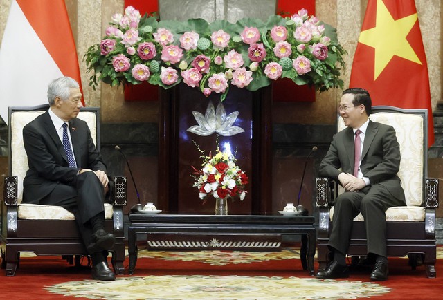 Việt Nam và Singapore đẩy mạnh hợp tác trong các lĩnh vực mới - Ảnh 2.