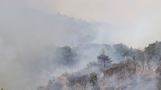 Lính cứu hỏa ở Hy Lạp chiến đấu với đám cháy rừng lớn nhất từng được ghi nhận ở EU - Ảnh 2.