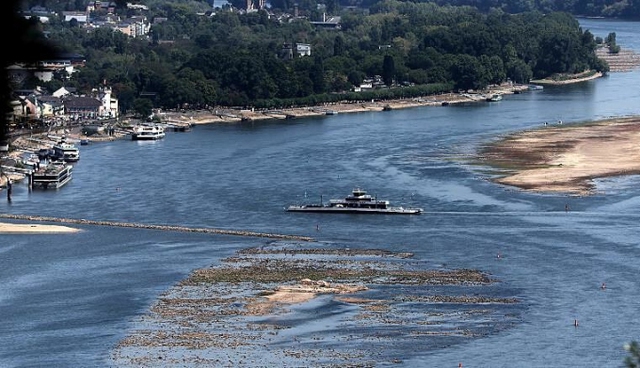 Sông Rhine cạn nước đe dọa kinh tế Đức - Ảnh 1.