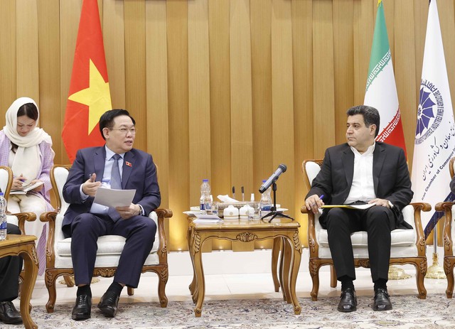 Diễn đàn hợp tác kinh tế, thương mại và đầu tư Việt Nam - Iran - Ảnh 6.