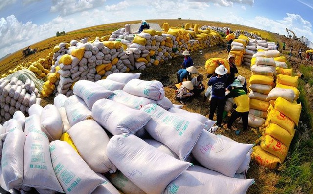 Hợp tác công - tư: Động lực phát triển ngành lúa gạo - Ảnh 1.