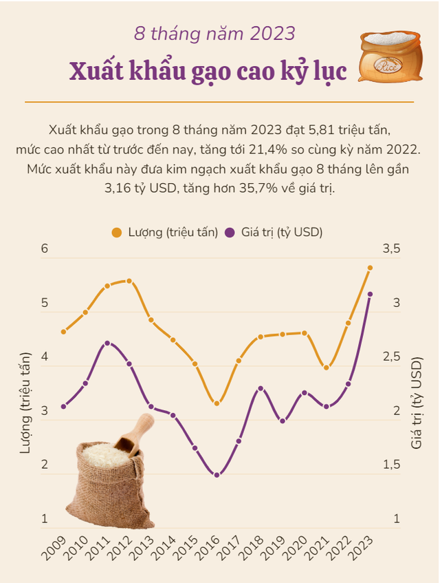 [INFOGRAPHIC] 8 tháng năm 2023: Xuất khẩu gạo cao kỷ lục - Ảnh 1.