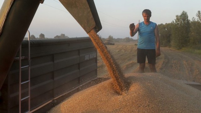 Ukraine kiện Ba Lan, Hungary và Slovakia lên WTO về lệnh cấm ngũ cốc đơn phương - Ảnh 1.
