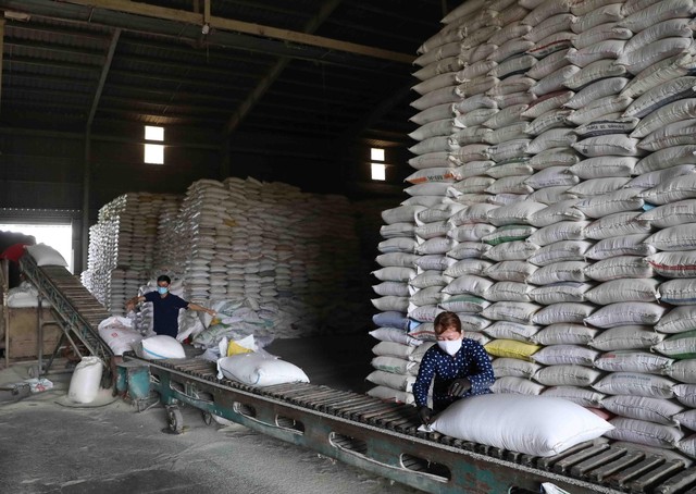 Xuất khẩu gạo khởi sắc, doanh nghiệp mạnh dạn vay vốn - Ảnh 1.