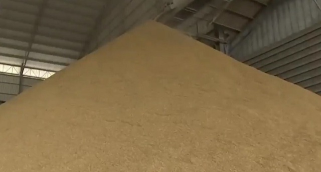 Sản lượng gạo Thái Lan có thể giảm hơn 3% do El Nino - Ảnh 1.