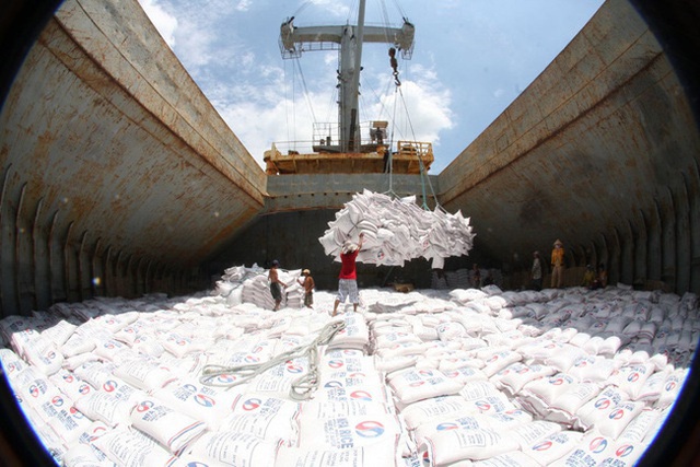 “Kịch bản” nào cho giá gạo xuất khẩu của Việt Nam từ nay đến cuối năm?