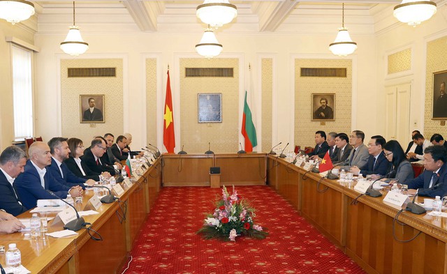 Chủ tịch Quốc hội Vương Đình Huệ tiếp Chủ tịch Đảng Xã hội Bulgaria - Ảnh 1.